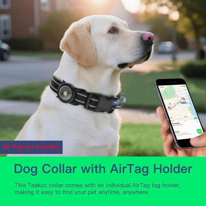 COLLAR PARA PERROS CON SOPORTE PARA LOCALIZADOR