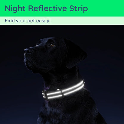 COLLAR PARA PERROS CON SOPORTE PARA LOCALIZADOR